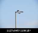 IMG 7823