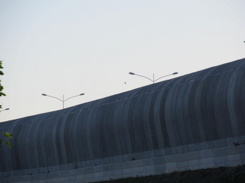 IMG 7817