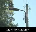 IMG 7726