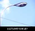 IMG 7739