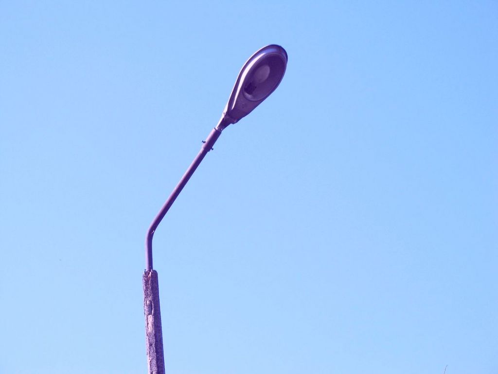 IMG 7746