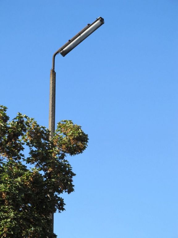 IMG 7750