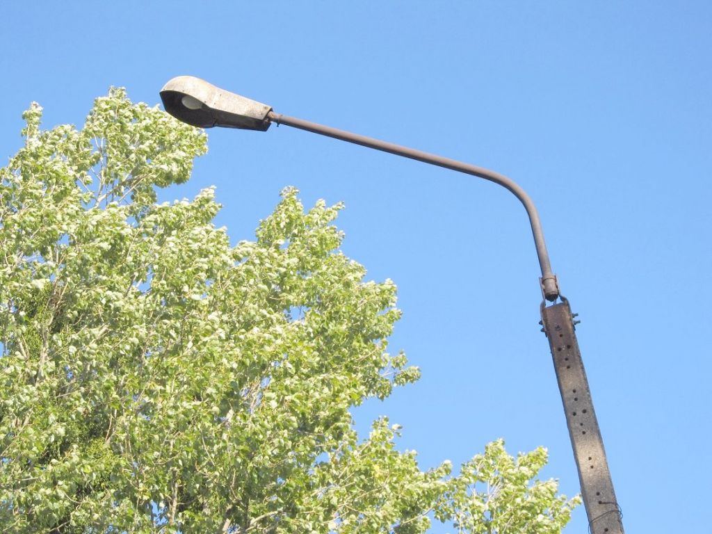 IMG 7762
