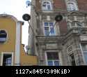 IMG 7833