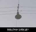 061