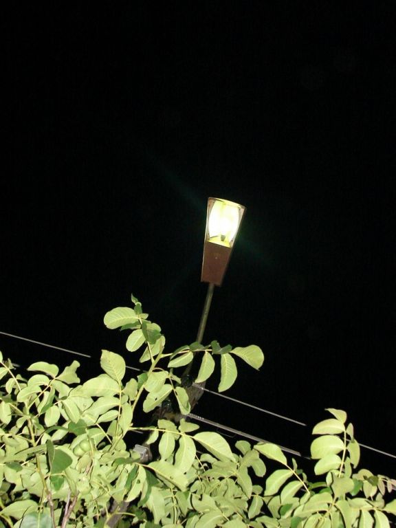 DSC06899