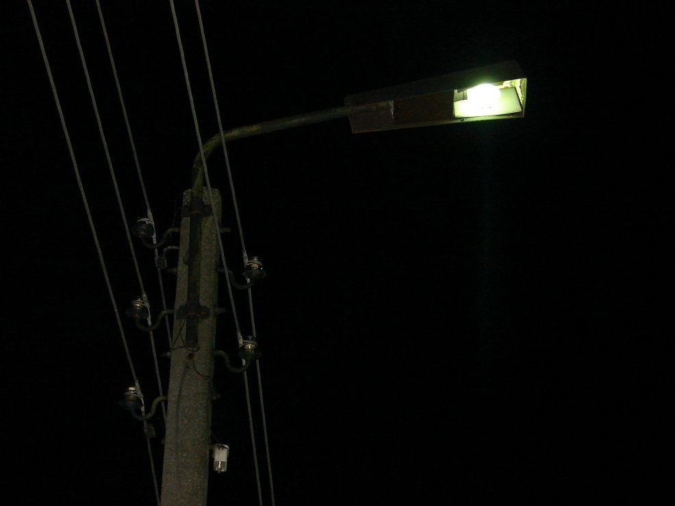 DSC06979