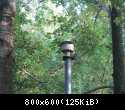 Kopia IMG 4024