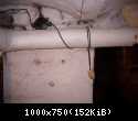 DSCI5294