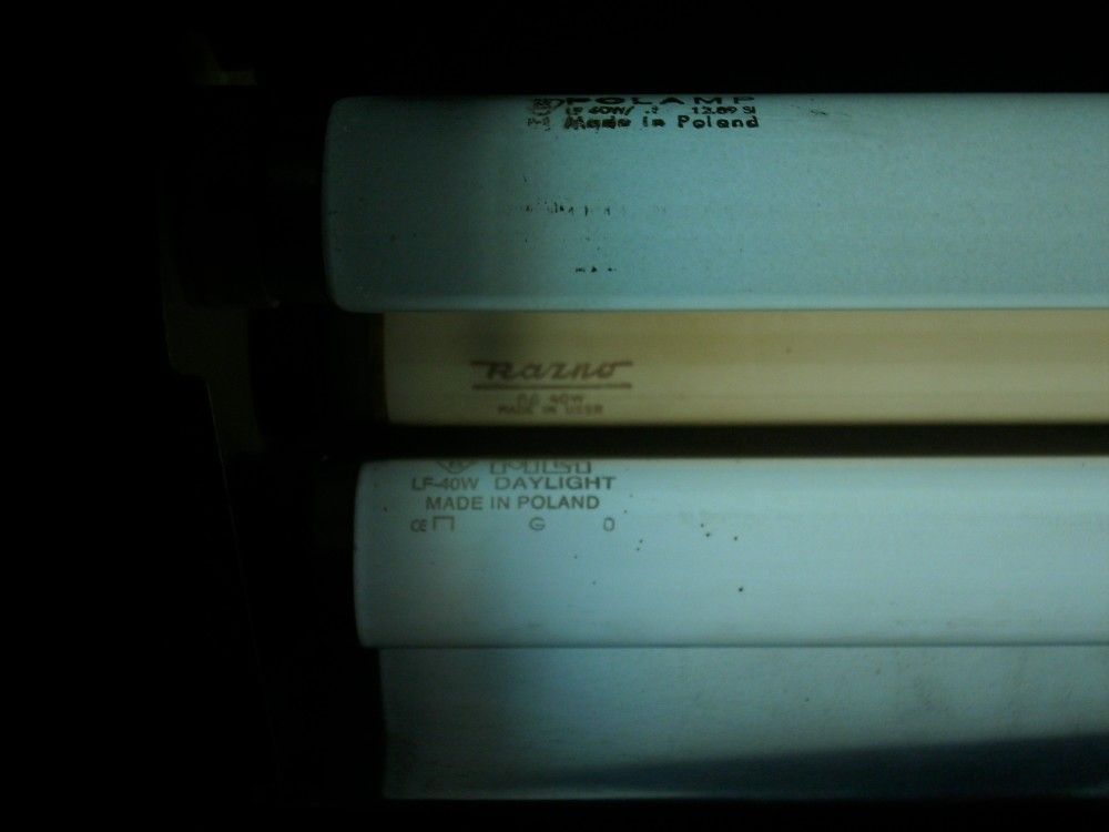 DSCI5618