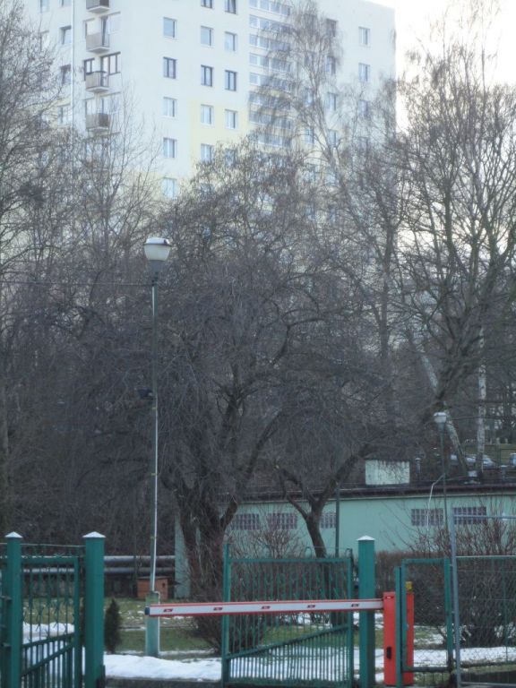 Trójmiasto seria 136