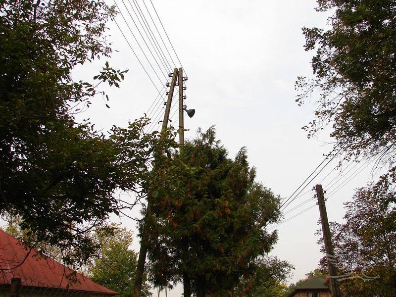 DSC08130