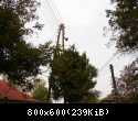 DSC08130