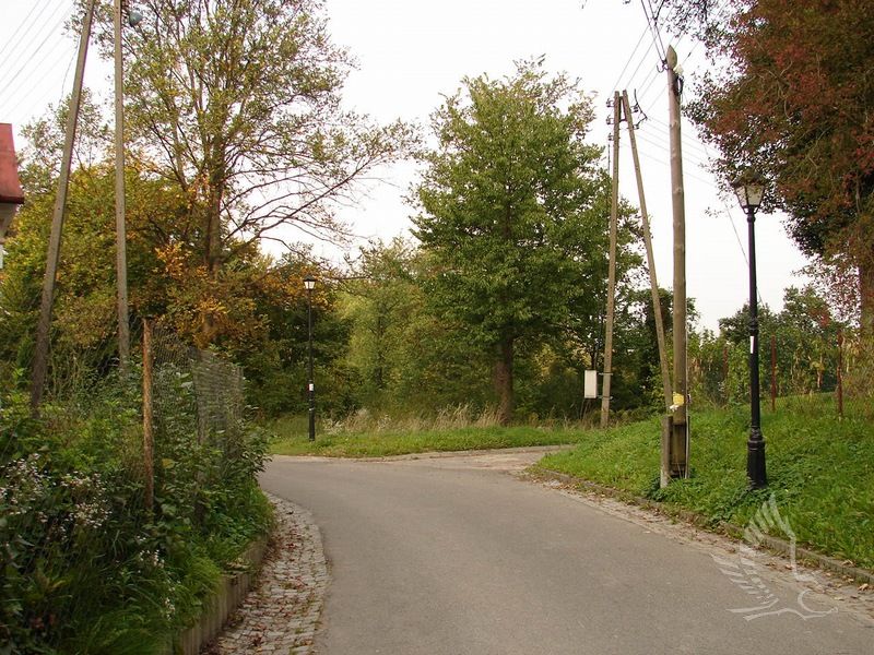 DSC08132