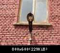 DSC04910