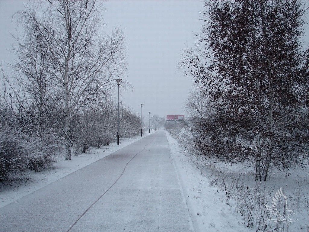 DSC00635
