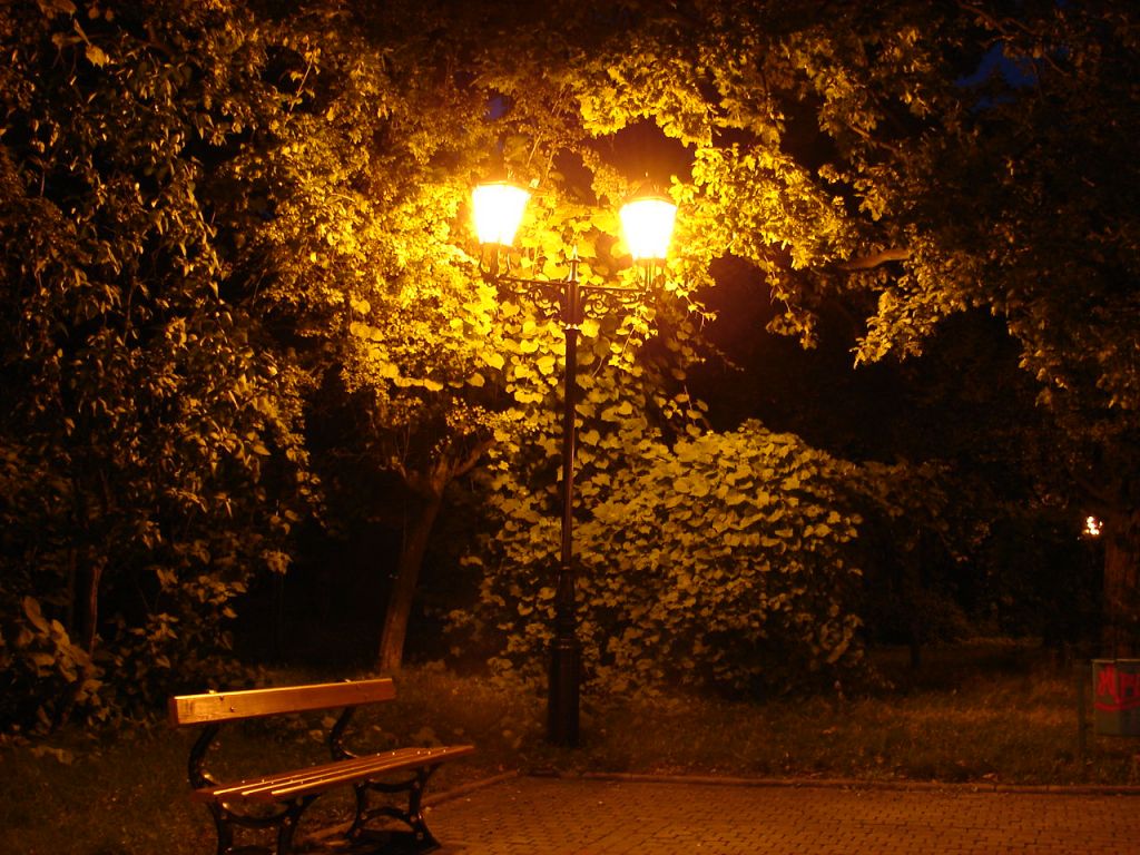 DSC02179