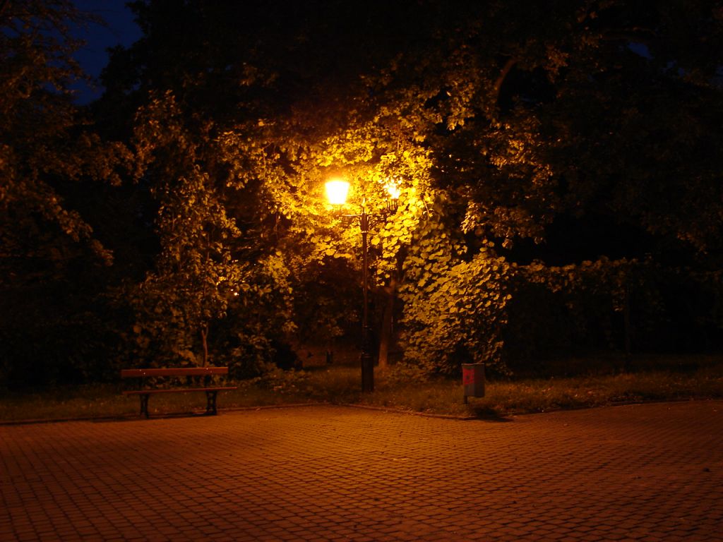 DSC02180