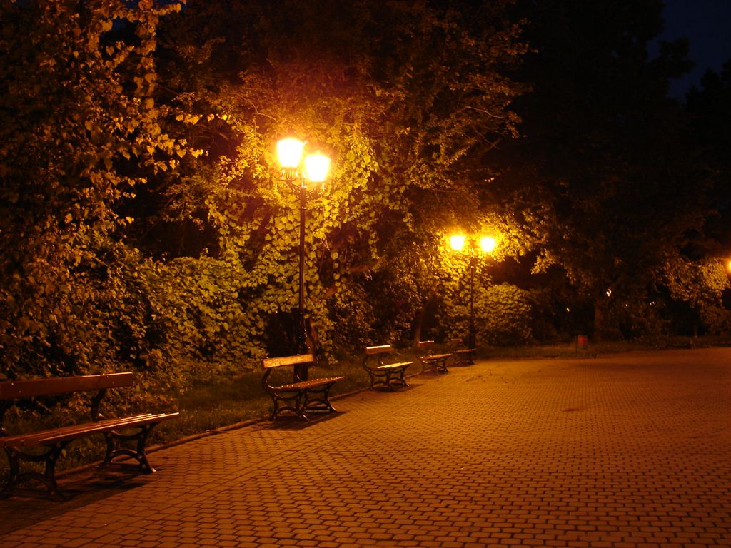 DSC02181