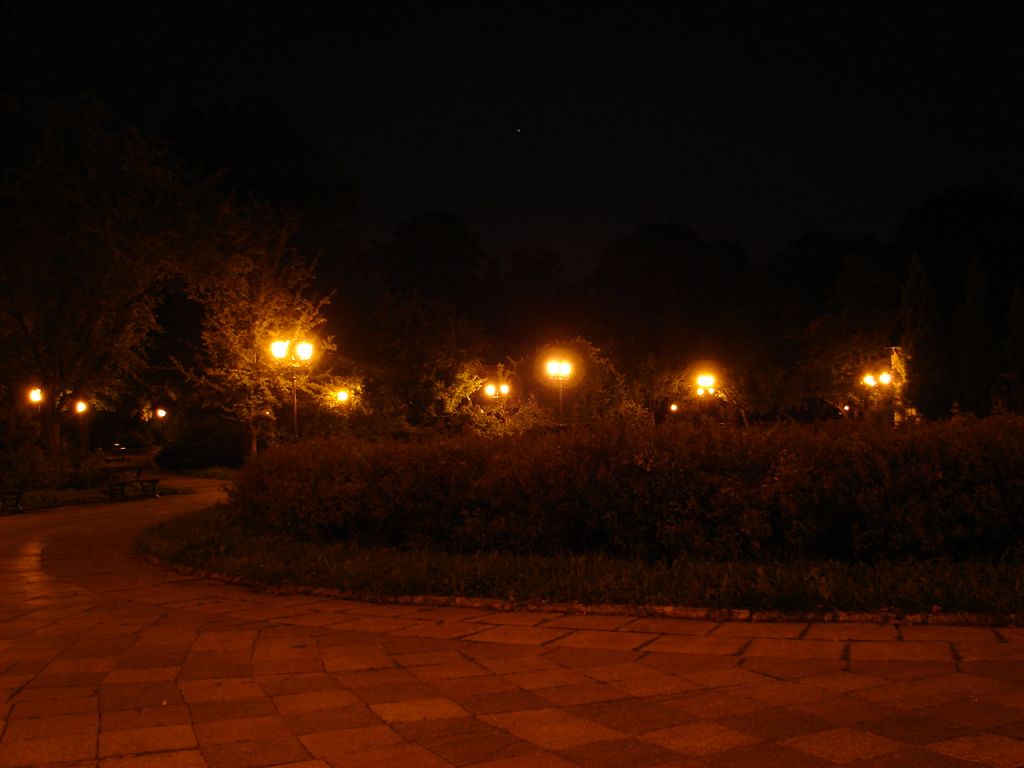 DSC02197