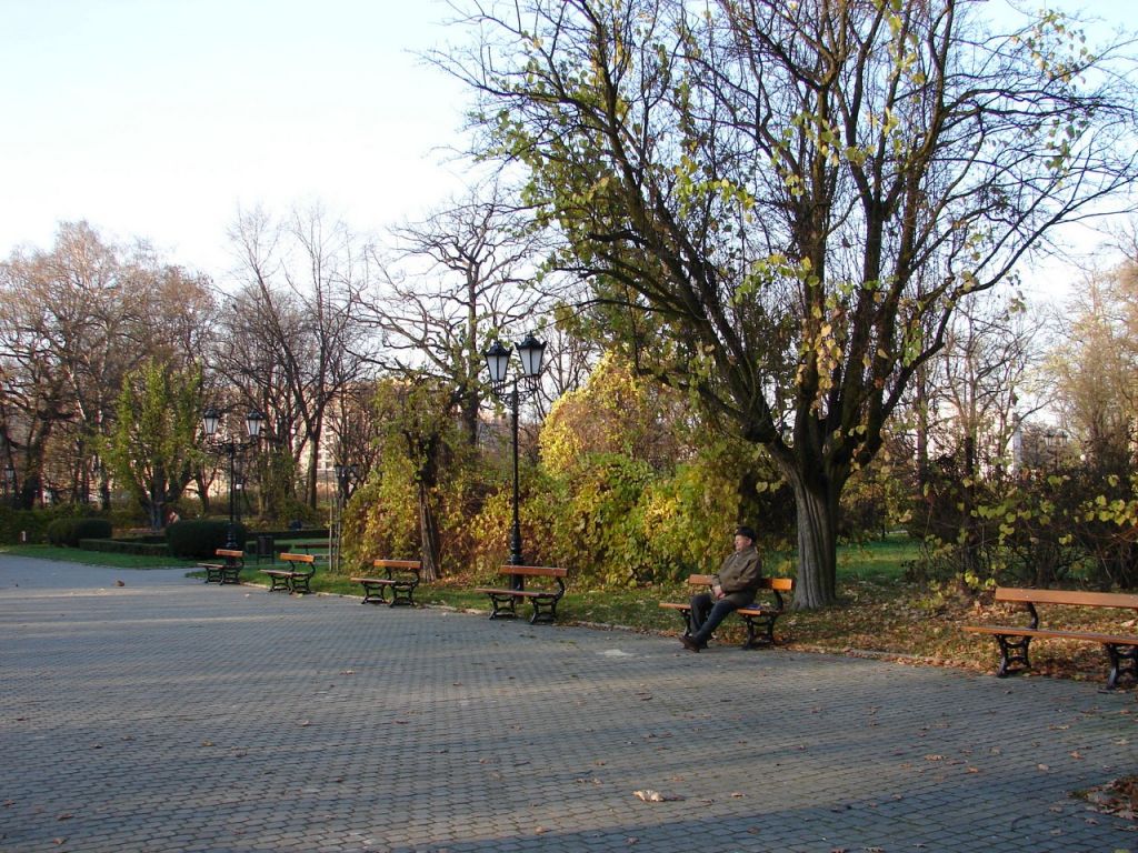 DSC02982