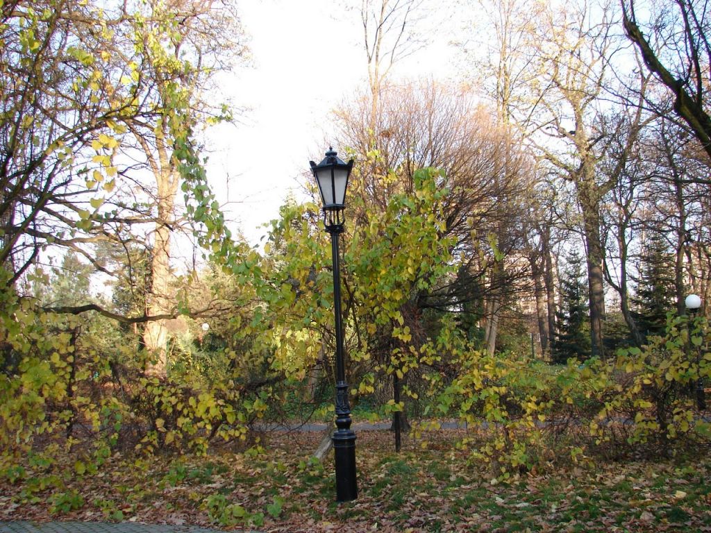 DSC02984