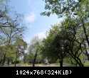 ORZ-7-1 - v1