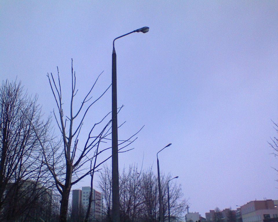 DSC00007