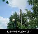 IMAG0110