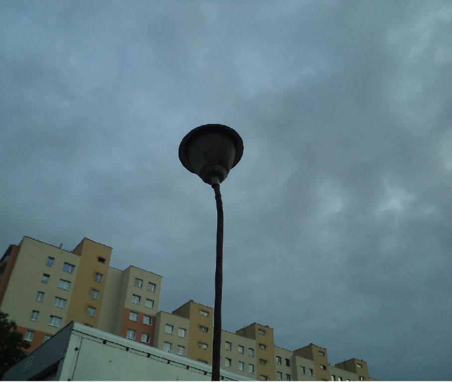 DSC00337