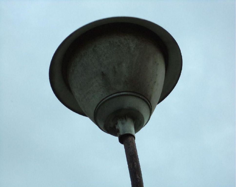 DSC00338