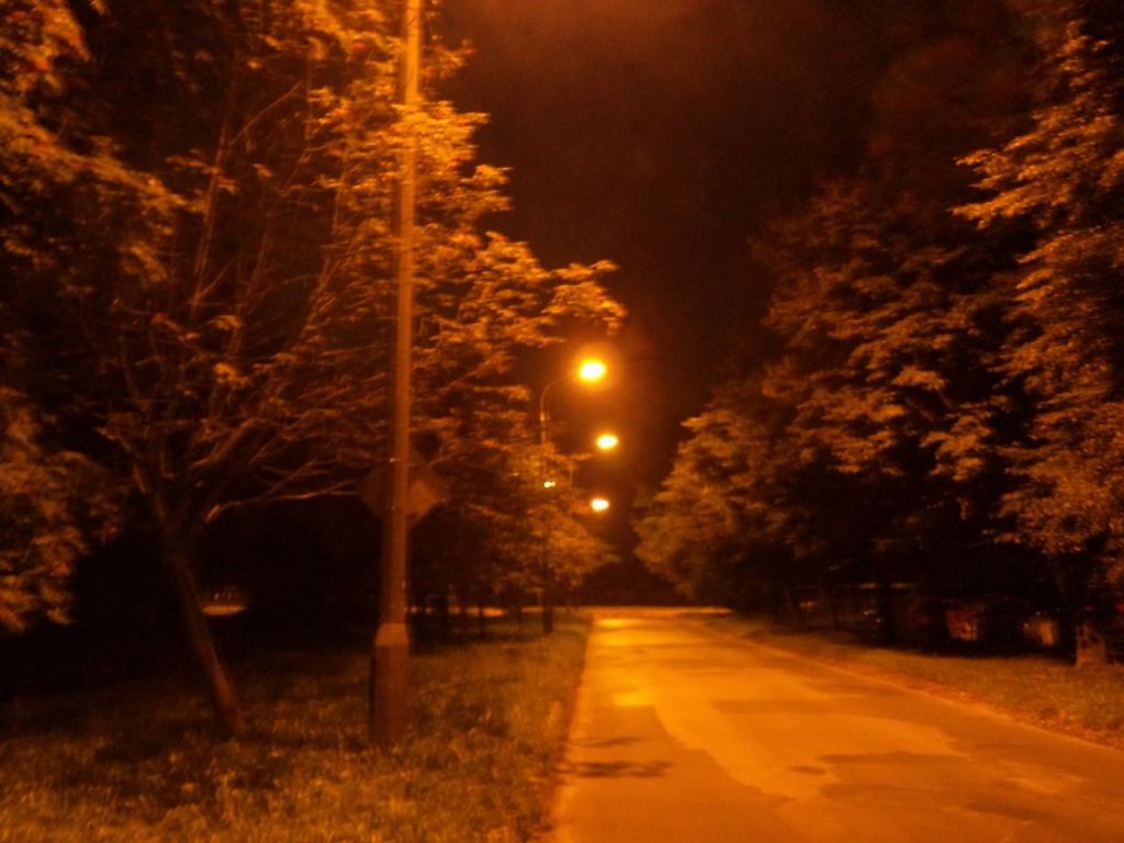 DSC00699