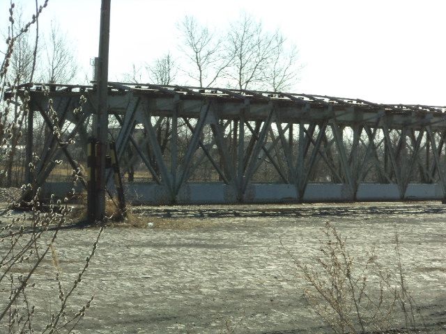 DSC01029