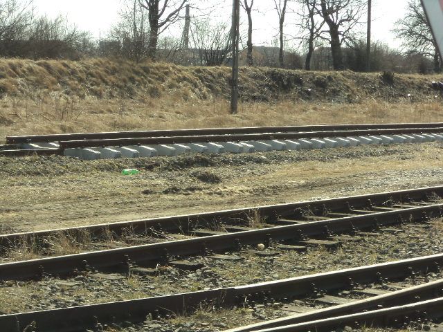 DSC01033