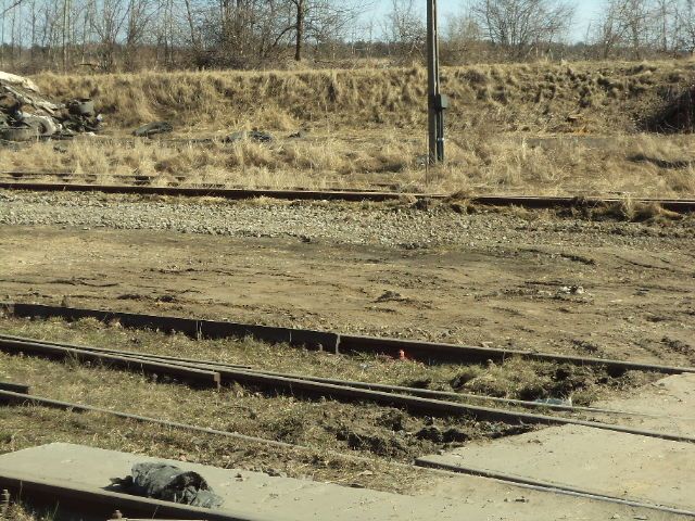 DSC01035
