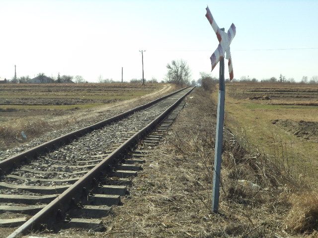 DSC01037