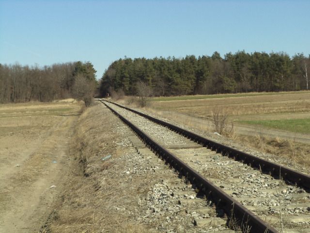 DSC01038
