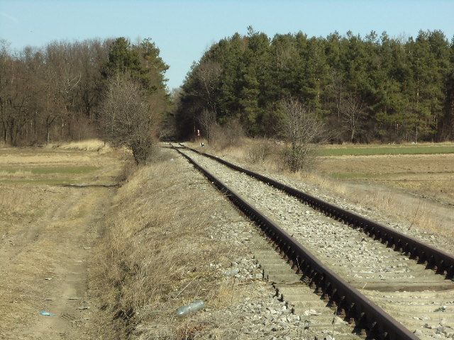 DSC01039
