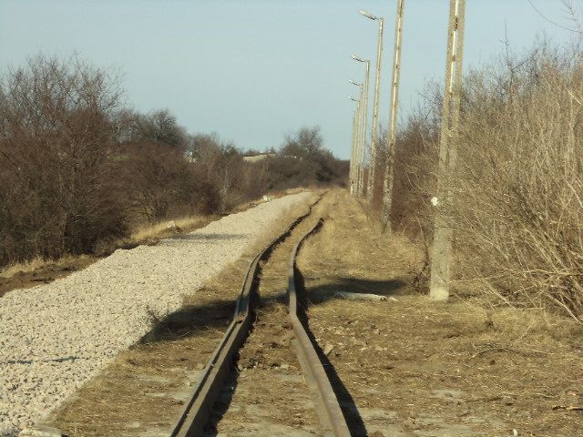 DSC01071