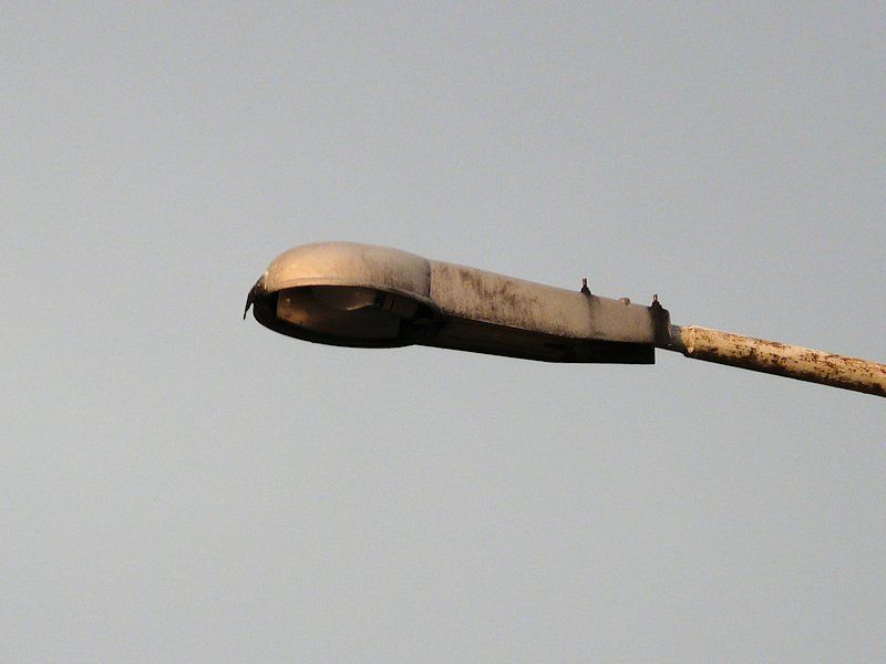 OUR-125