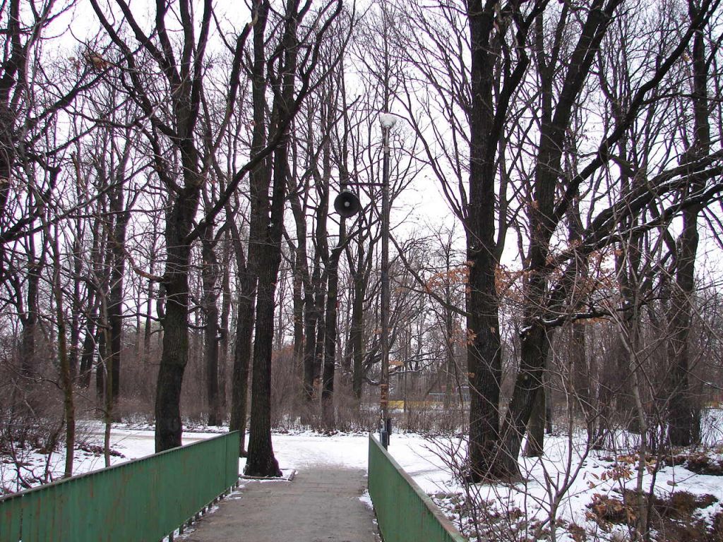 DSC05057