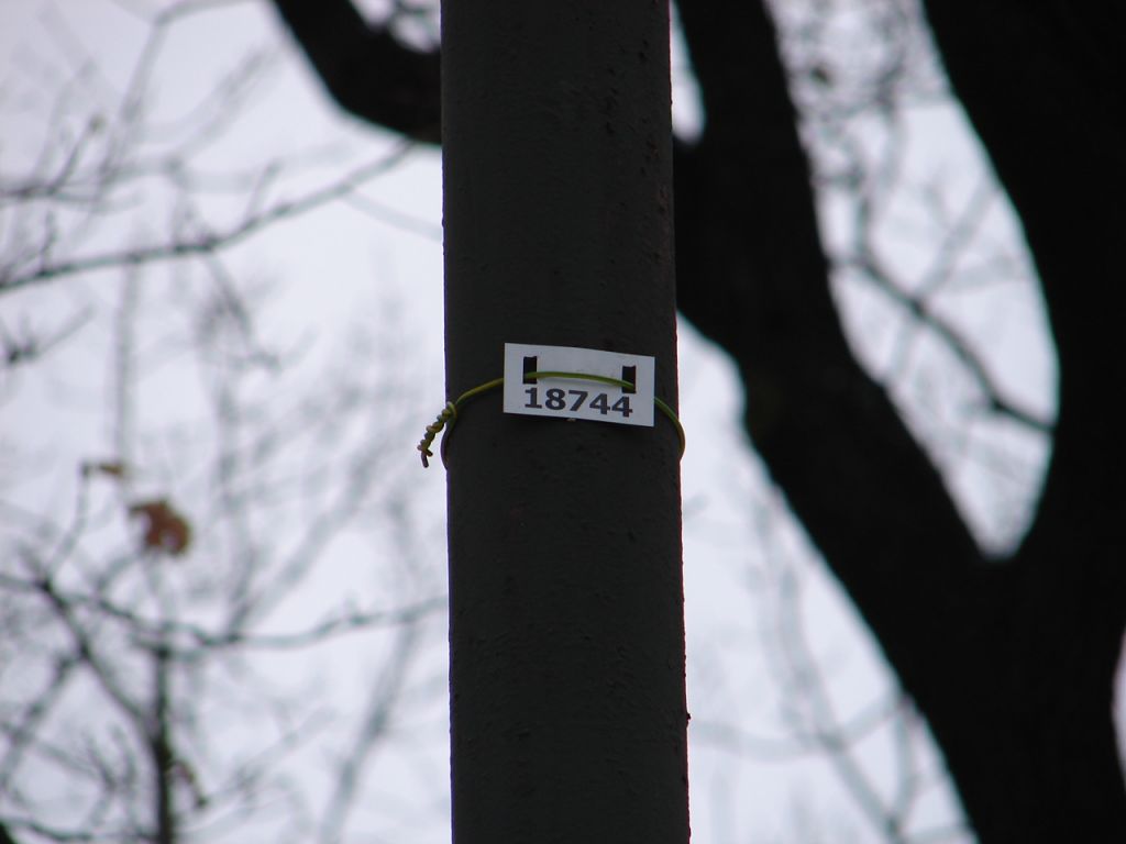 DSC05065