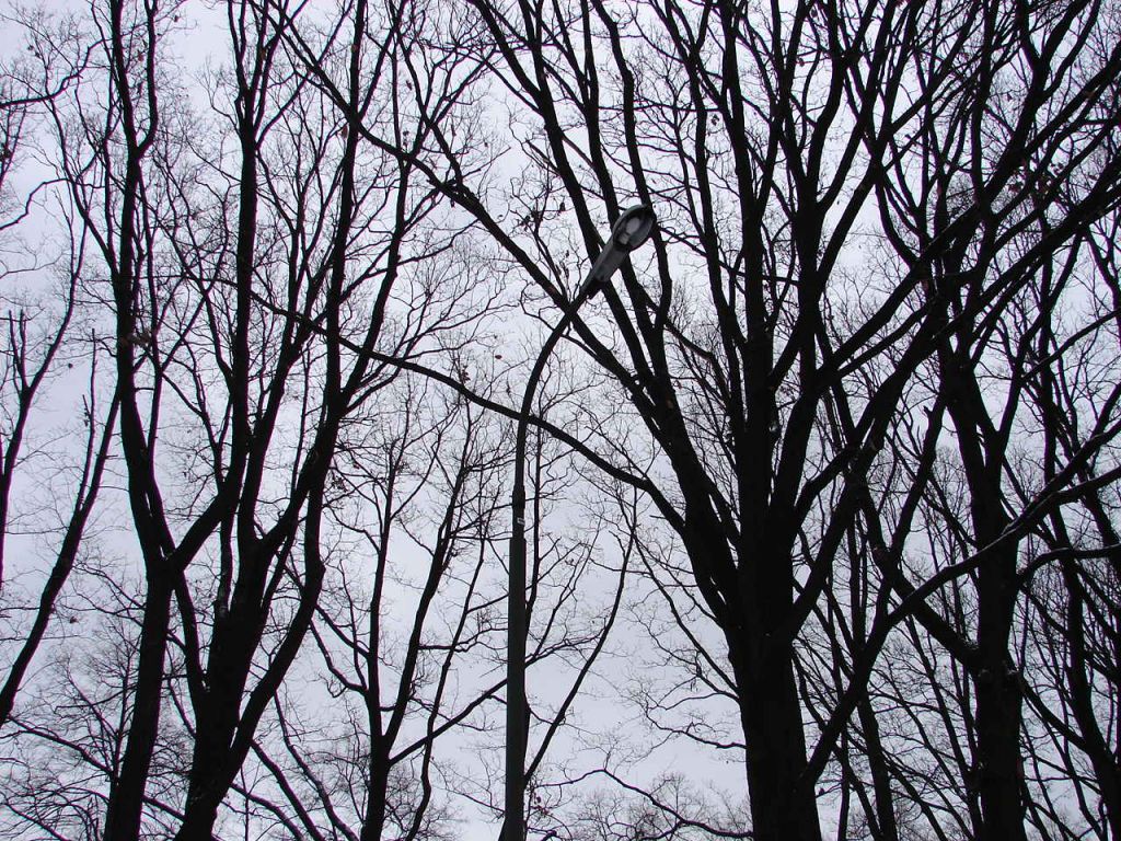DSC05067