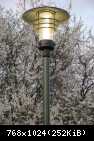 Elgopark 1