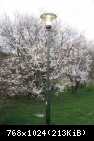 elgopark 3