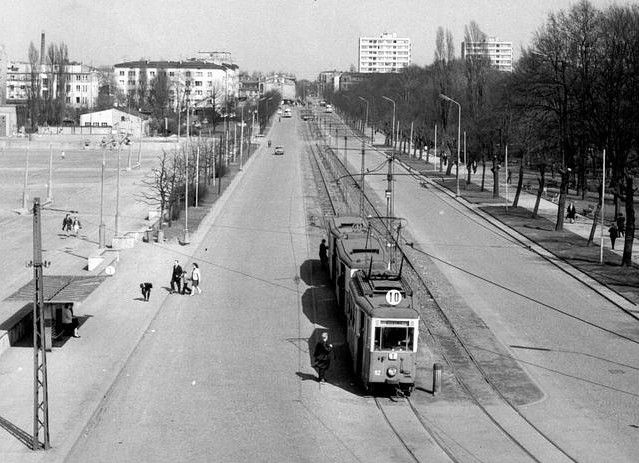 1965