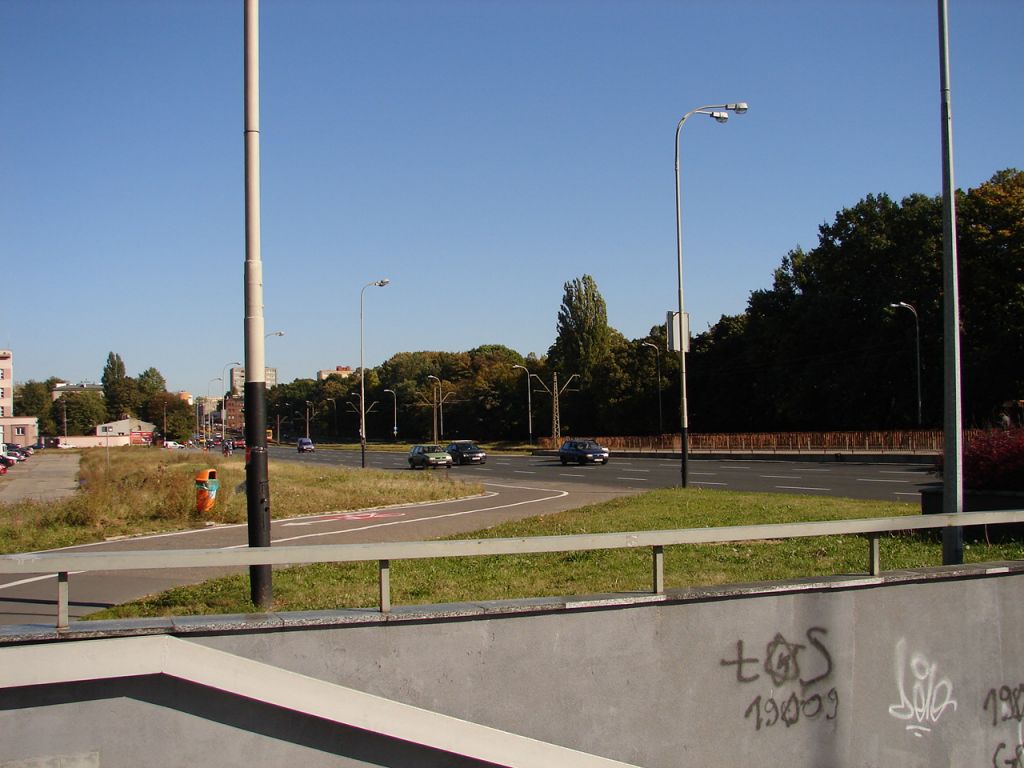 DSC03236