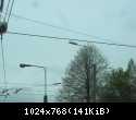 DSCN6229