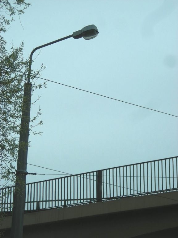DSCN6233