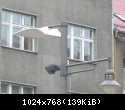 DSCN6220